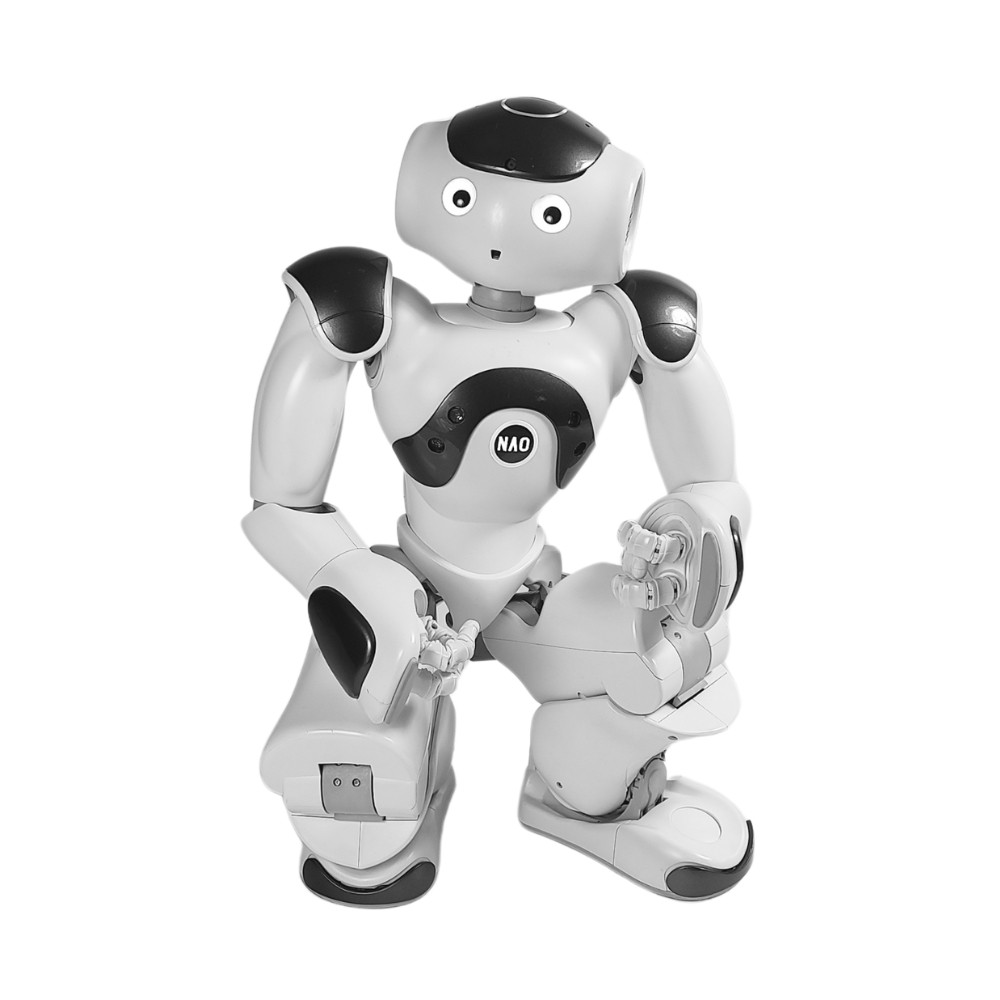 RobotNAO6_supp0.jpg