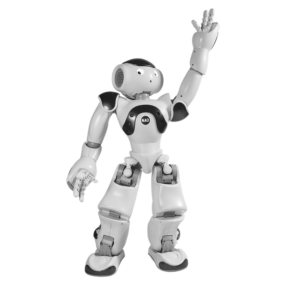 RobotNAO6_supp1.jpg