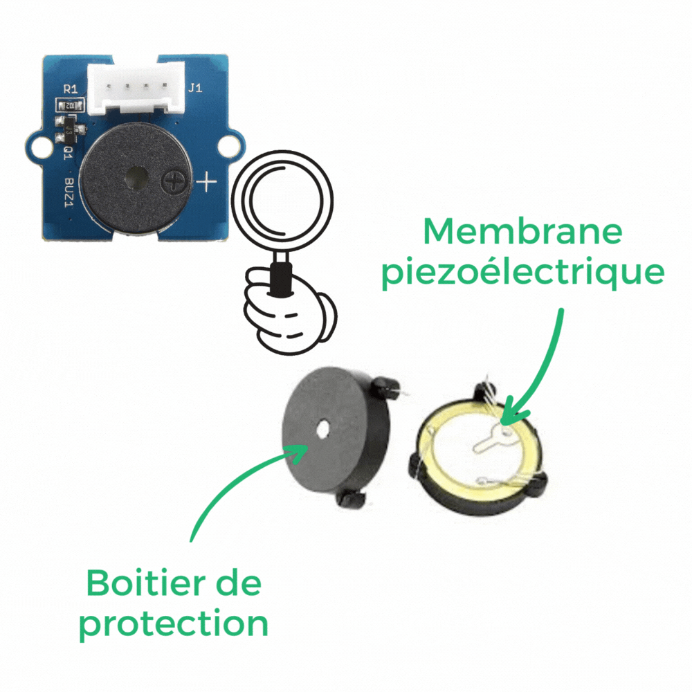 zoom-buzzer-FR 
