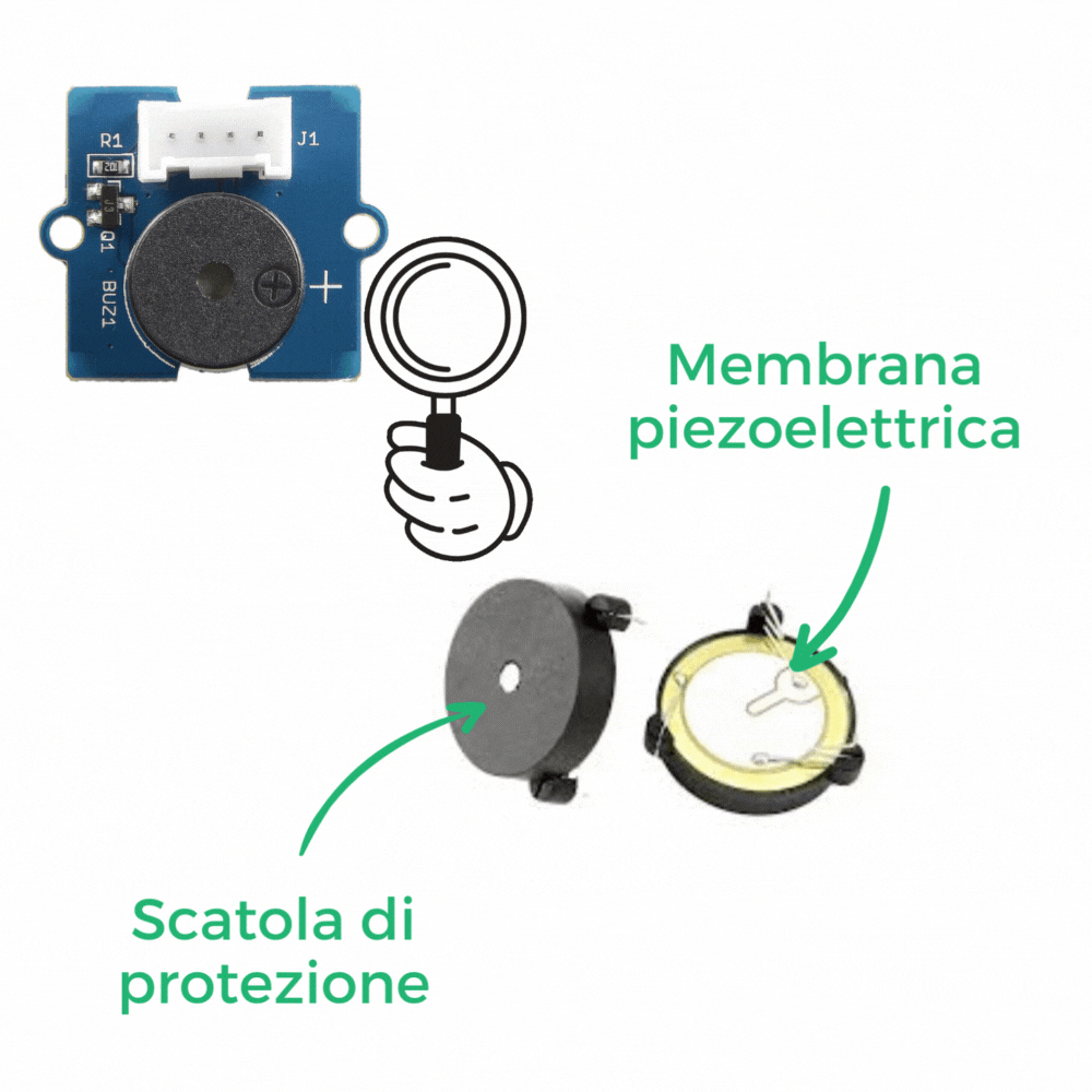 zoom-buzzer-IT 