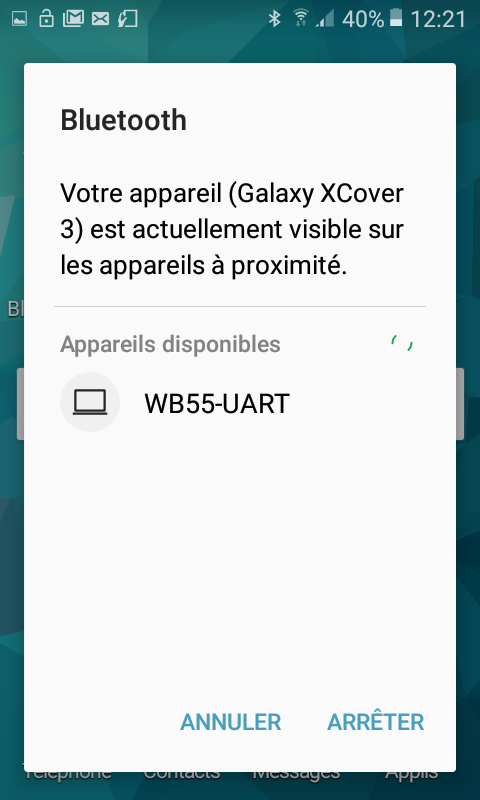 wb55 bt phone 